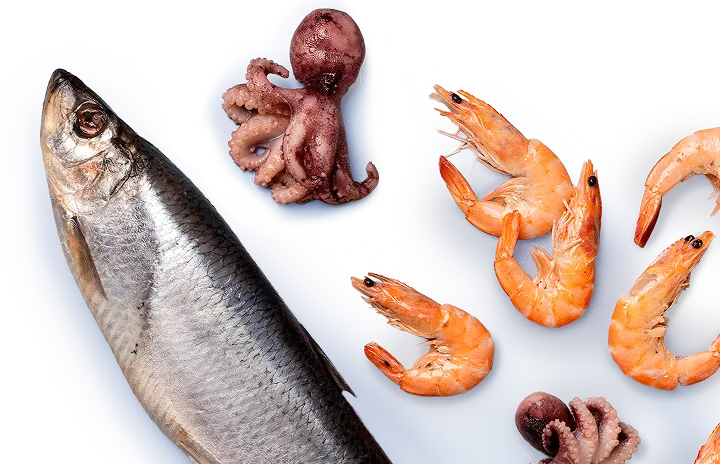 Рыба, морепродукты